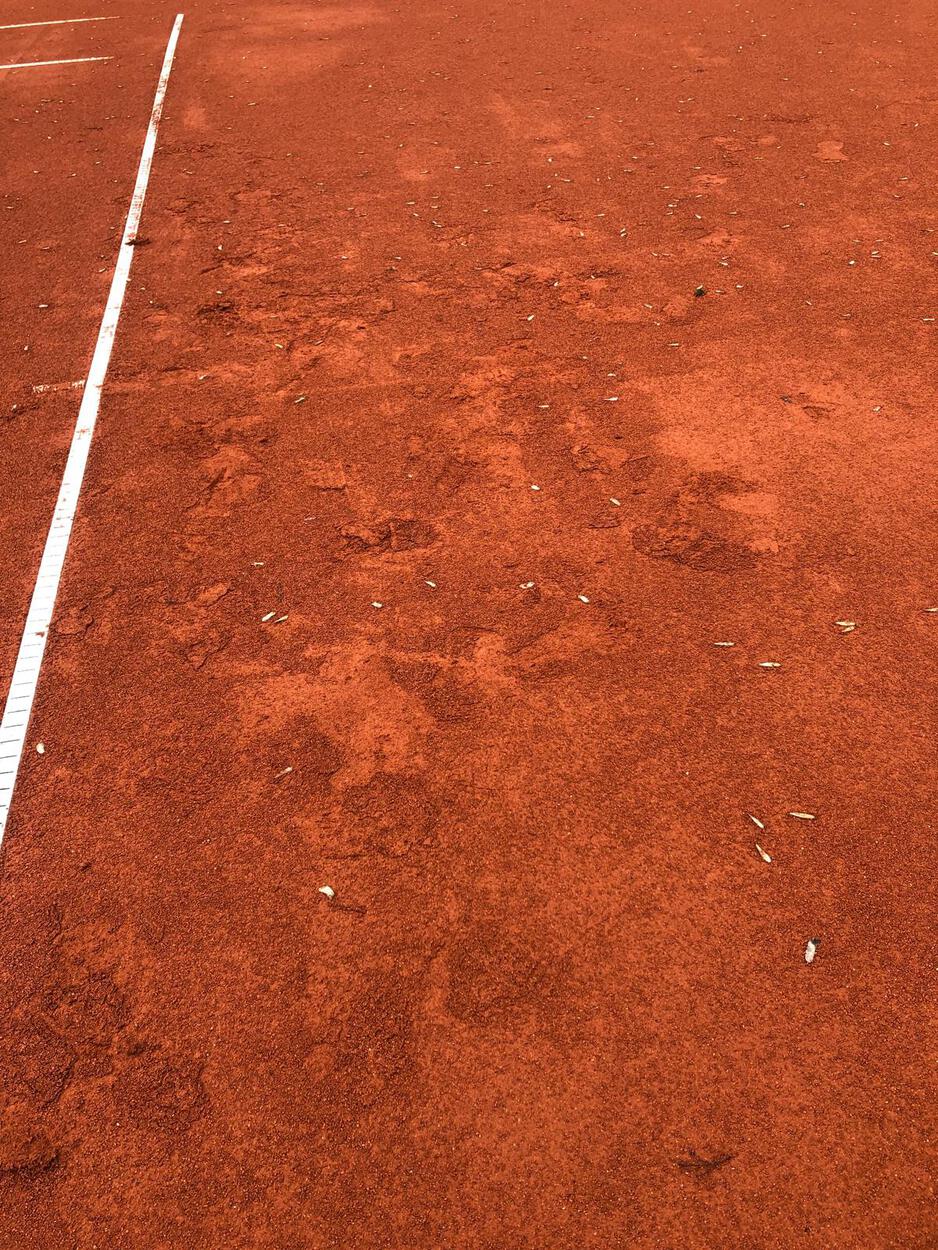 Plätze sind noch nicht geöffnet!