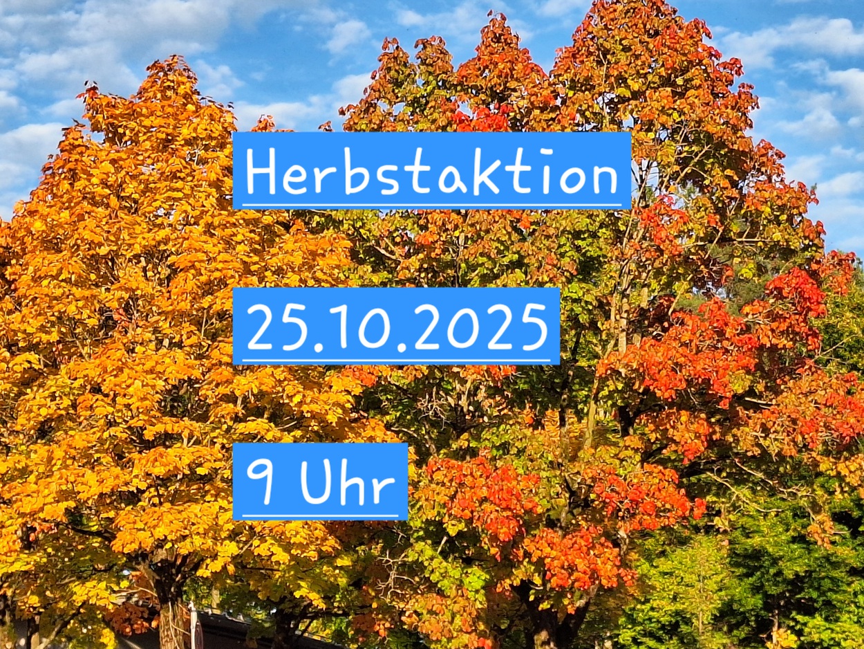 Arbeitseinsatz Herbst: 25.10.2025, 9 Uhr