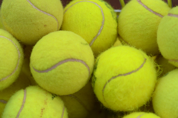 Abfrage zum Wintertraining der Kinder und Jugendlichen 2025/2026